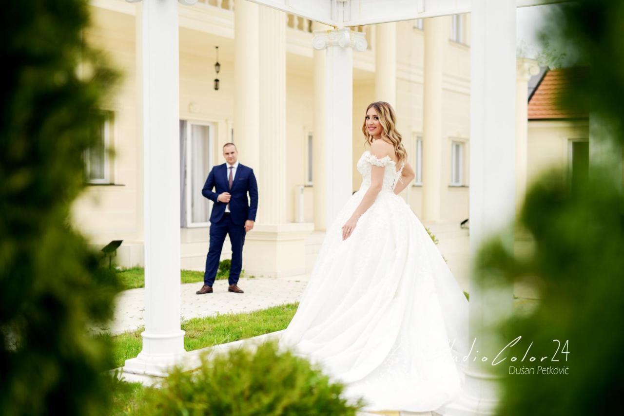 Villa Palace Novi Sad Exteriér fotografie